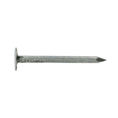 Pointe tête plate large acier galvanisé 3x40mm - Gedimat - VYNEX