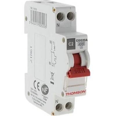 Disjoncteur à vis PH+N 2A coupure 4,5KA NF - Gedimat - THOMSON