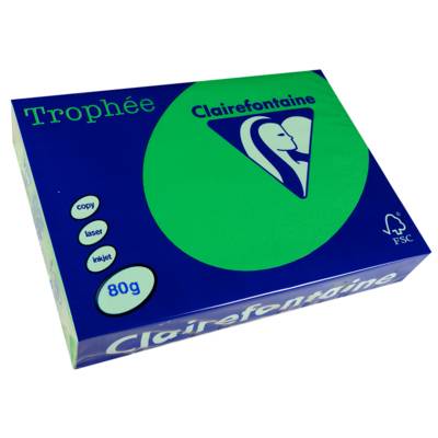 Ramette 500 Feuilles Papier 80g A4 210x297 mm Certifié FSC vert billard - CLAIREFONTAINE