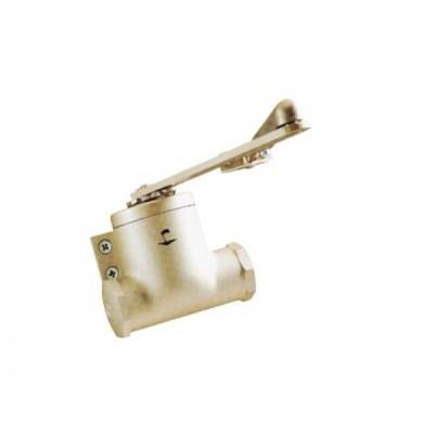 704112 Ferme-porte Classique 4, bras compas - Coloris:champagne - GROOM FERMETURES SA