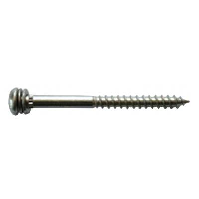 Vis MUSTAD Pour assemblage mécanique - Tête ronde Torx 40 - Zingué blanc -  Ø7x90 - Boite de 400 - LT293A700900B8S - Maxoutil
