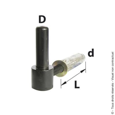 Gond à visser et cheville en métal noir D14 - 60mm - Gedimat