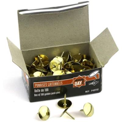 Boite de 100 punaises laitonnées