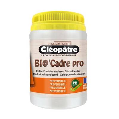 Colle encadrement amidon à PH neutre BIO'CADRE PRO 250g
