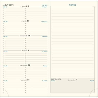 Recharge semainier poche Espace 17 tranche or 175x90 mm