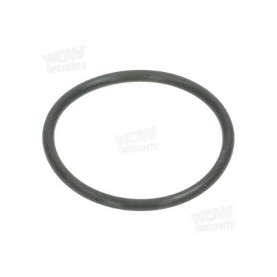 Baque d'etancheite 21x1,5 - 63635360