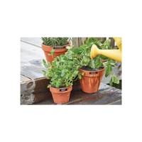 Ruban D1 Vinyle Etiquette HP  Blanc sur Rouge 12 mm x 3m