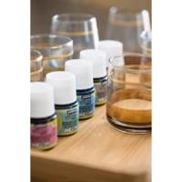 Set 10 flacons 45ml peinture Vitrea 160 assortis brillant