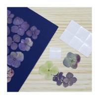 Cléotops 100 Pastilles de Colle Transparentes Fortes