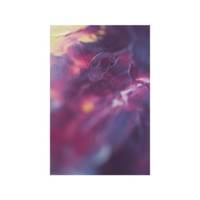 Peinture Huile Fine XL Studio 37 Ml Violet De Dioxazine - PÉBÉO