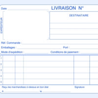 Manifold autocopiant LIVRAISONS 105 x 140 A6 Horizontal 50 Dupli - ELVE