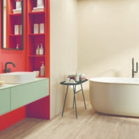 Carrelage mur intérieur COLORFUL - 30 x 90 cm - Gedimat - APE