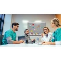 Lot de 100 fiches T indice 2 gris