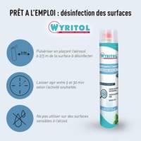 Aérosol Désinfectant grands espaces - Purifie l'air - Parfum menthe - 750ML