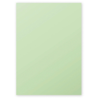 Etui de 50 Feuilles 210x297 vert 120g