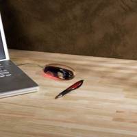 Plan de travail lamellé collé abouté hêtre brut - Gedimat