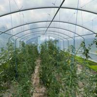 Serre de jardin - 4 Saisons Plus 4m00 x 12m00 – Serres Tonneau