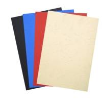Paquet de 100 couvertures matière synthétique -  reliure A4 - Couleurs assorties