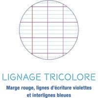 Cahier Protège-cahier Koverbook Piqué Polypro 24x32 cm 96p séyès Rose Transparent - CLAIREFONTAINE