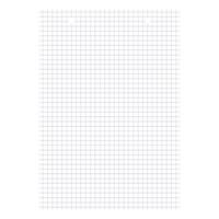 Bloc de 30 Fiches Bristol Perforées A5 Q5/5 Blanc