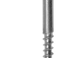 Gond à vis à bois matière inox A2 3x30mm - Gedimat - NORAIL