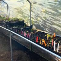 Support cagettes fruits et légumes pour serre - Kit d'allongement 1,5m - Serres Tonneau