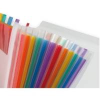 Trieur extensible A4 210x297mm 13 Compartiments - Frosty transparent