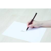 Feutre plume Pentel Stylo, Gris foncé
