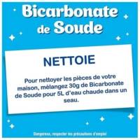 Bicarbonate de Soude Pot de 680 g