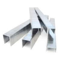 Agrafes 140/6 mm, galvanisé, 5.000 pièces