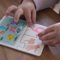 Jeux éducatif, Apprendre à compter - Multicolore