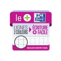 Lot de 5 Cahiers Agrafés 17 x 22cm 96 Pages Grands Carreaux Seyès 90g