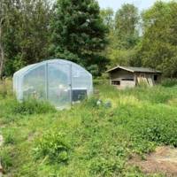 Serre tunnel de jardin - 4 Saisons 3m00 x 3m00