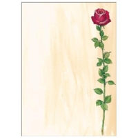 papier design, format A4, 90 g/m2, motif "Rose Bloom", 25f