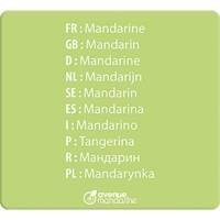 Boite imagiers 24 cartes multilingues (traduction 10 langues) 11,5x12,7 cm, Fruits