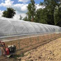 Serre Tunnel Professionnelle Normandie - 6m50 x 31m50