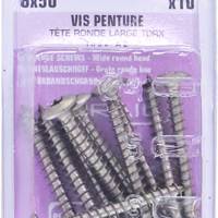 Vis penture tête ronde empreinte Torx matière inox A2 6 x 50 mm - Gedimat - NORAIL