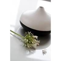 Flacon 45 ml peinture CERAMIC faïence et multi support Vert feuille - PÉBÉO