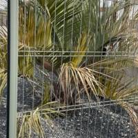 Poteau HABITAT à sceller vert 6005 - Gedimat