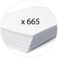 Classeur à levier PVC A4 dos de 70mm - Vert clair