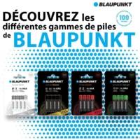 Pack 10 Piles AAA LR03 Alcalines Power