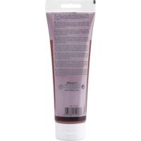 Tube 250ml Peinture Acrylique Studio Haute Viscosité Sienne Brûlée - PÉBÉO