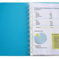 Lot de 10 pochettes amovibles polypro pour protège documents Vario Zip