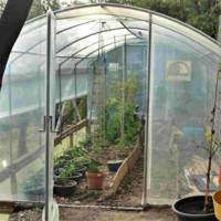 Serre tunnel de jardin 4 Saisons – Serres Tonneau