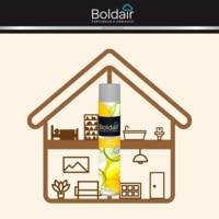 Désodorisant d'atmosphère 500 ml parfum Citron Professional