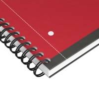 NOTEBOOK A4+ spiralé 160 pages petits carreaux gris