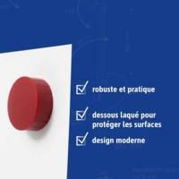 Lot de 2 Aimants Solid Ø 38 mm 2,5 kg puissance Rouge