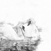 Ramette de  50 feuille de papier dessins/croquis 200g A3 Blanc