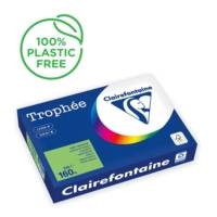 Ramette Papier FSC A4 160g 250 Feuilles Menthe