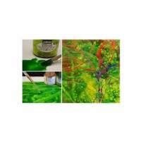 Peinture VITRAIL 250ml médium éclaircissant - PÉBÉO